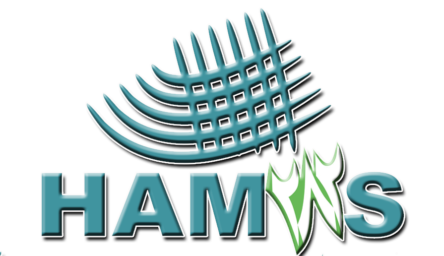 Hamas