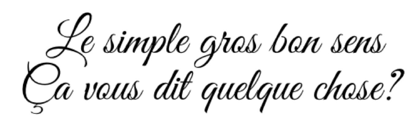 Gros bon sens