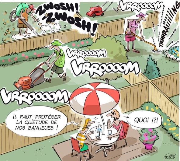 Bruit