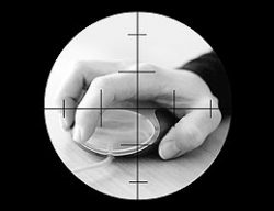 csq