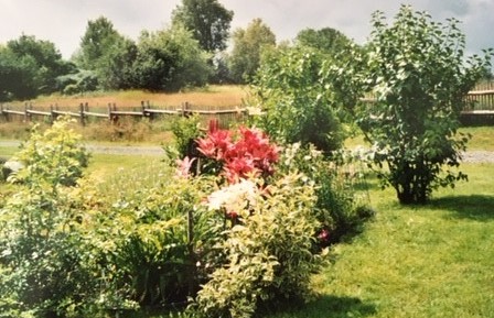 À vendre